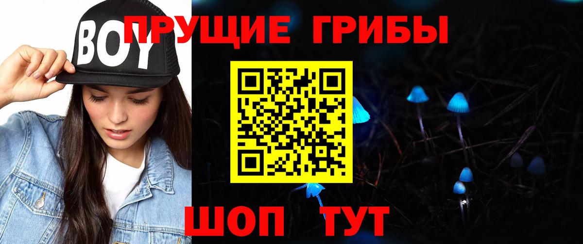 Псилоцибиновые грибы Psilocybine cubensis Кимовск