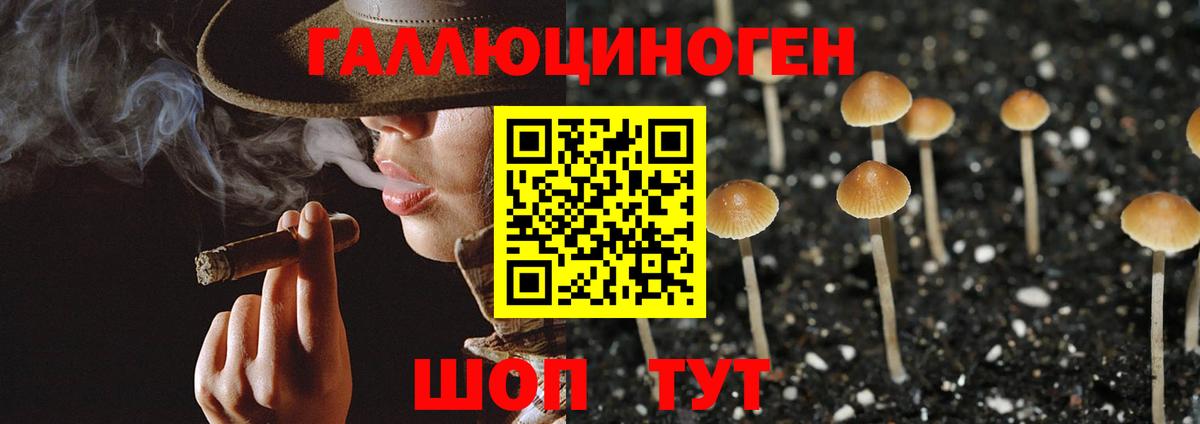 Галлюциногенные грибы Psilocybine cubensis  Вход с VPN  Кимовск  Галлюциногенные грибы GOLDEN TEACHER 
